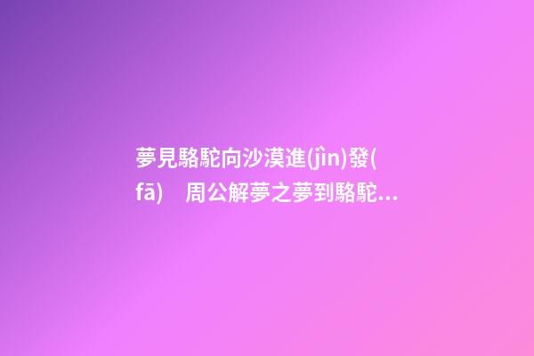 夢見駱駝向沙漠進(jìn)發(fā)　周公解夢之夢到駱駝向沙漠進(jìn)發(fā)